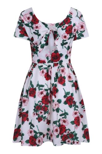 Dancing Days Vintage Rose Dress