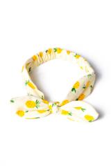 Dancing Days Paradise Headbands - Flamingo, Lemon, Melon & Pineapple Designs